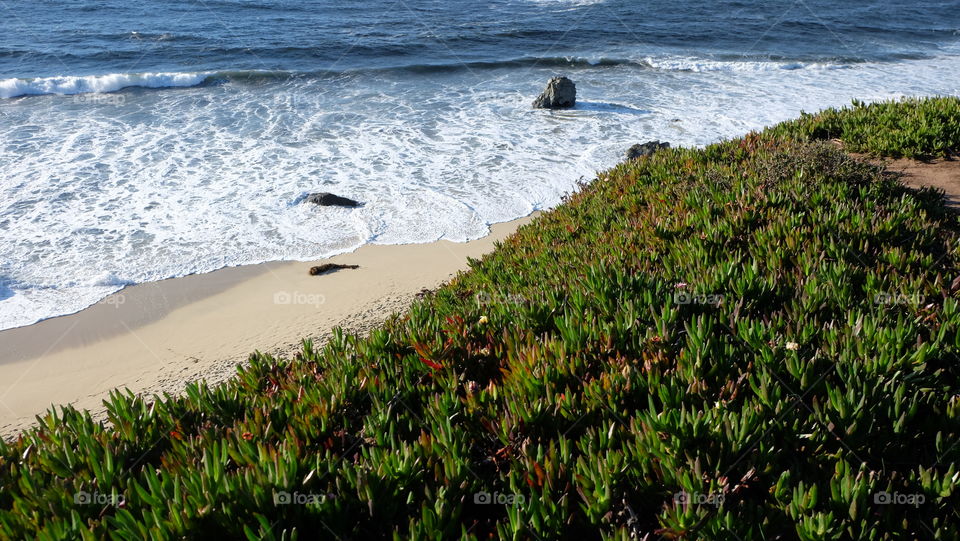 Waves on the beach