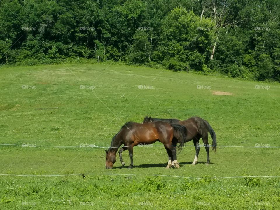 Driving the Back Roads and enjoying everything around us