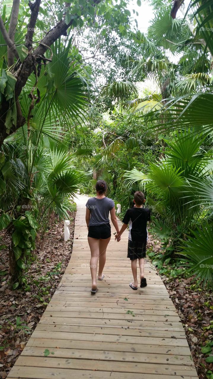 tropical vaca forest