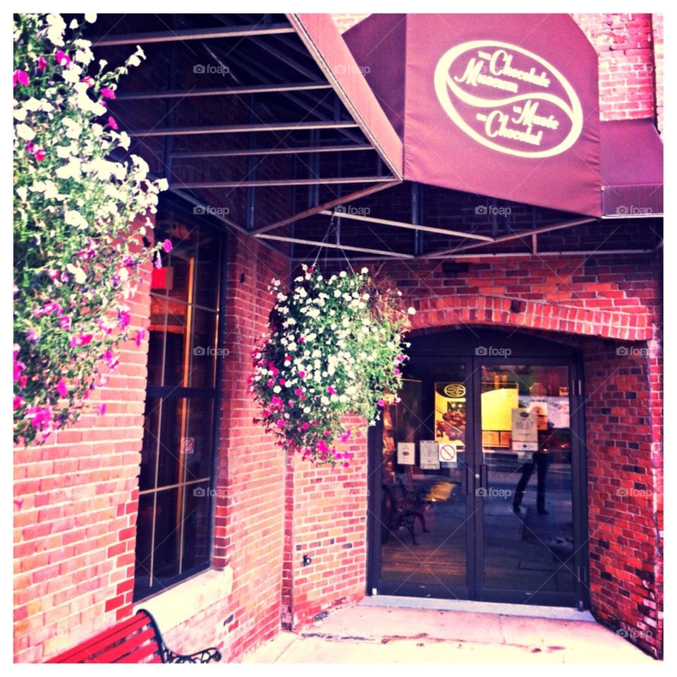 Chocolate Museum