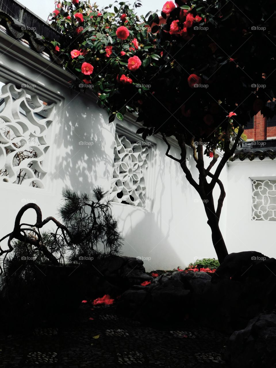 Chinese Garden wall
