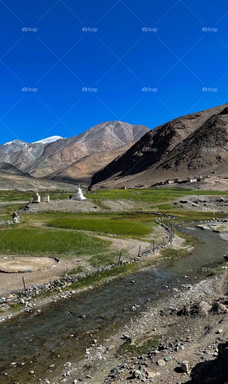 The mesmerizing portrait by the nature.