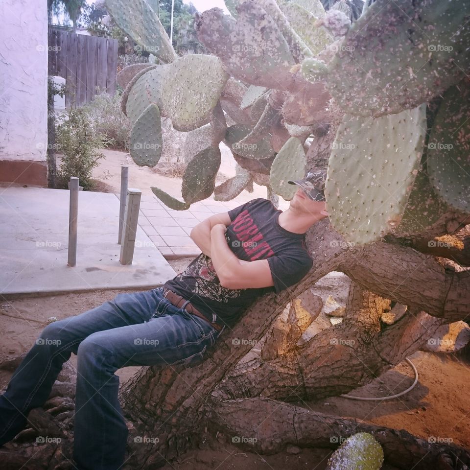 Nappin Cactus