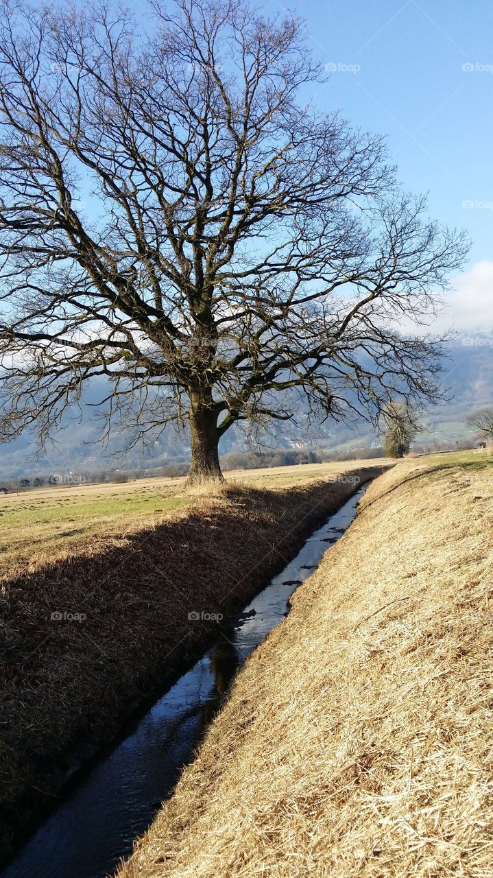 autumn landscape