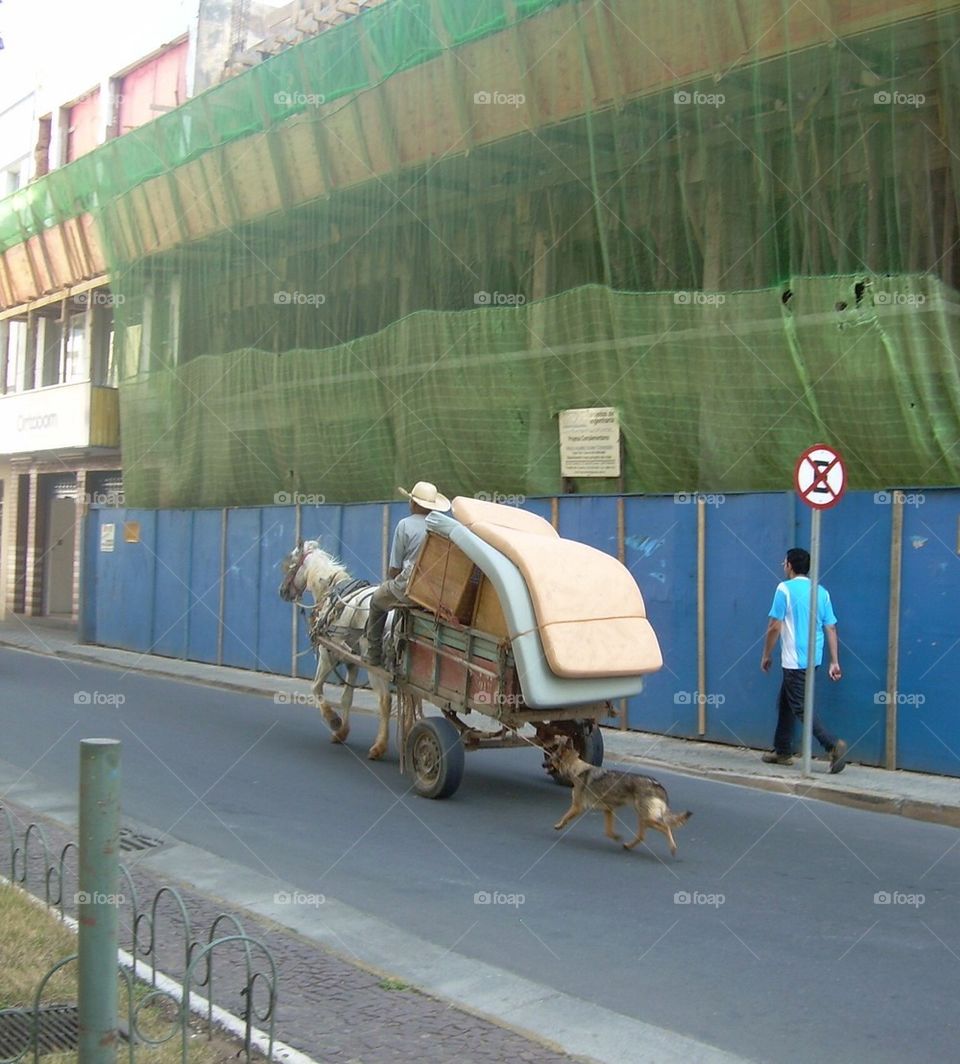 Horse wagon "moving day"