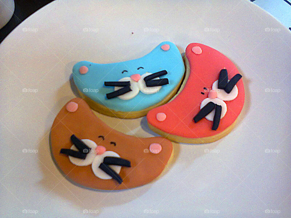 cat cookies