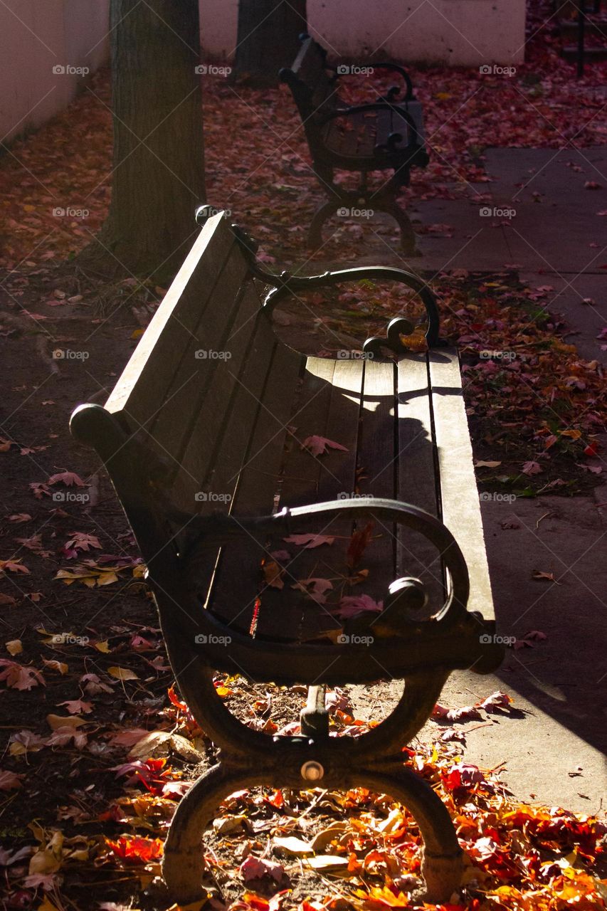 Setting sunshine on a wood and iron bench in the park during autumn in New England.