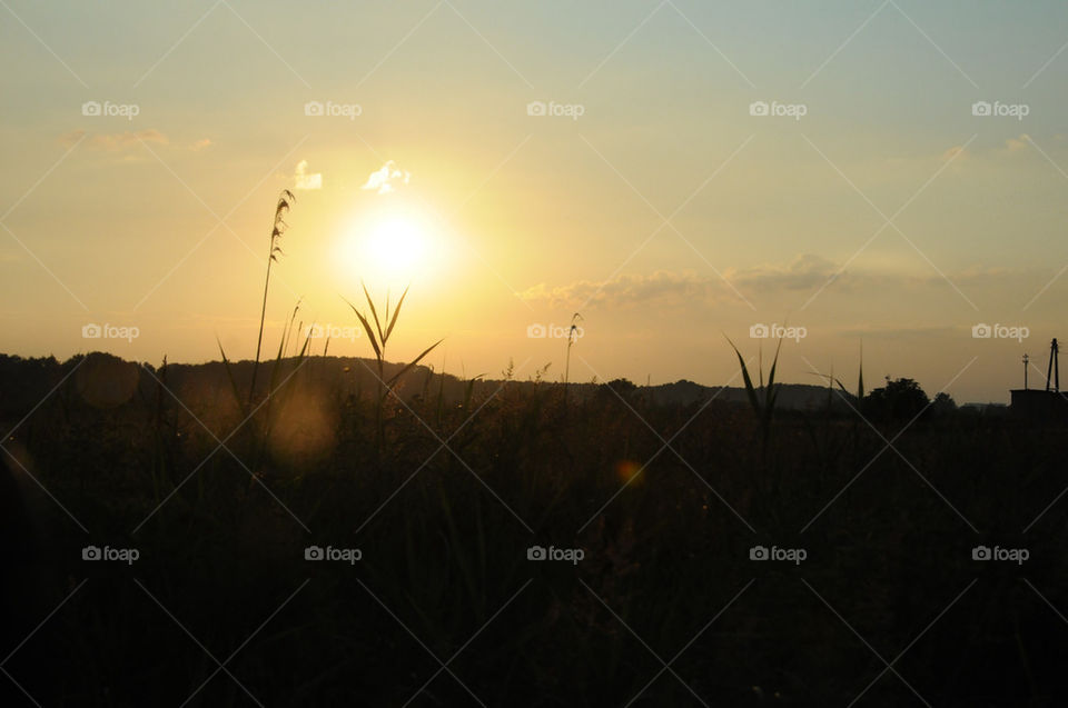 sky grass summer sunset by cstalfors