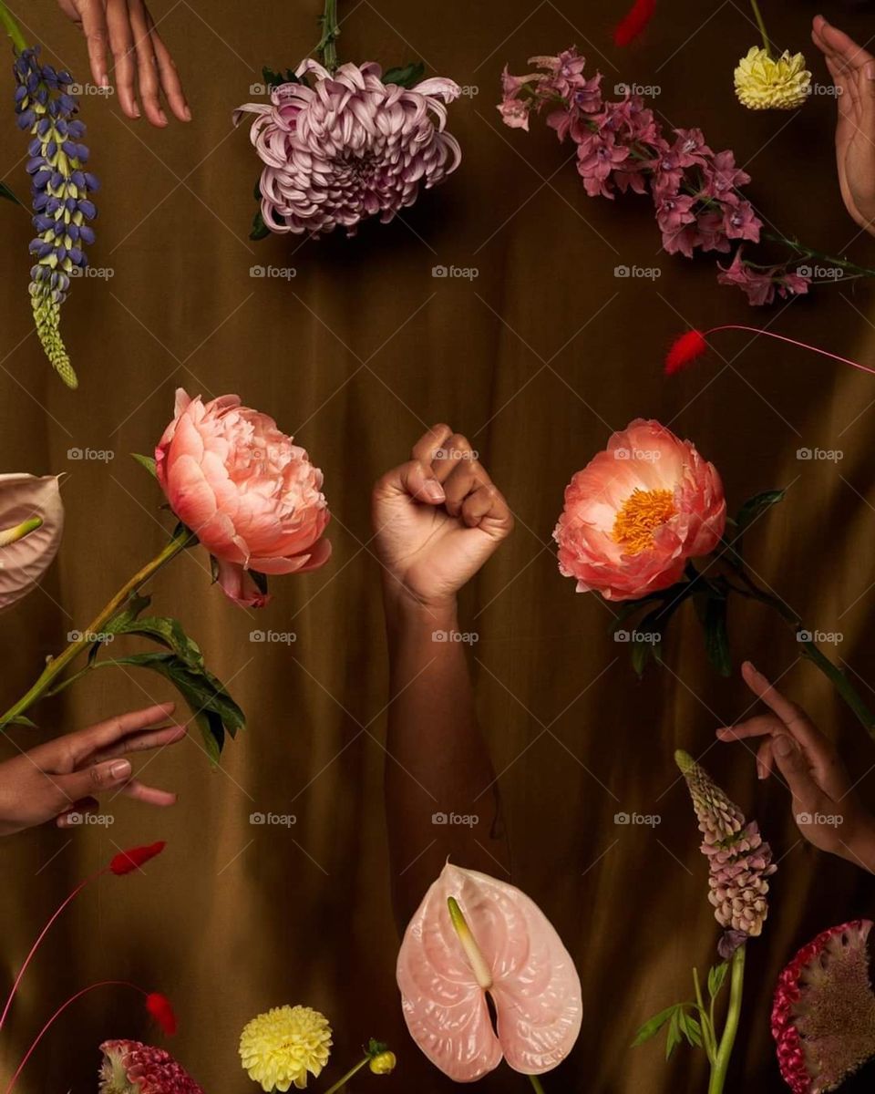 Beautiful scenery with roses