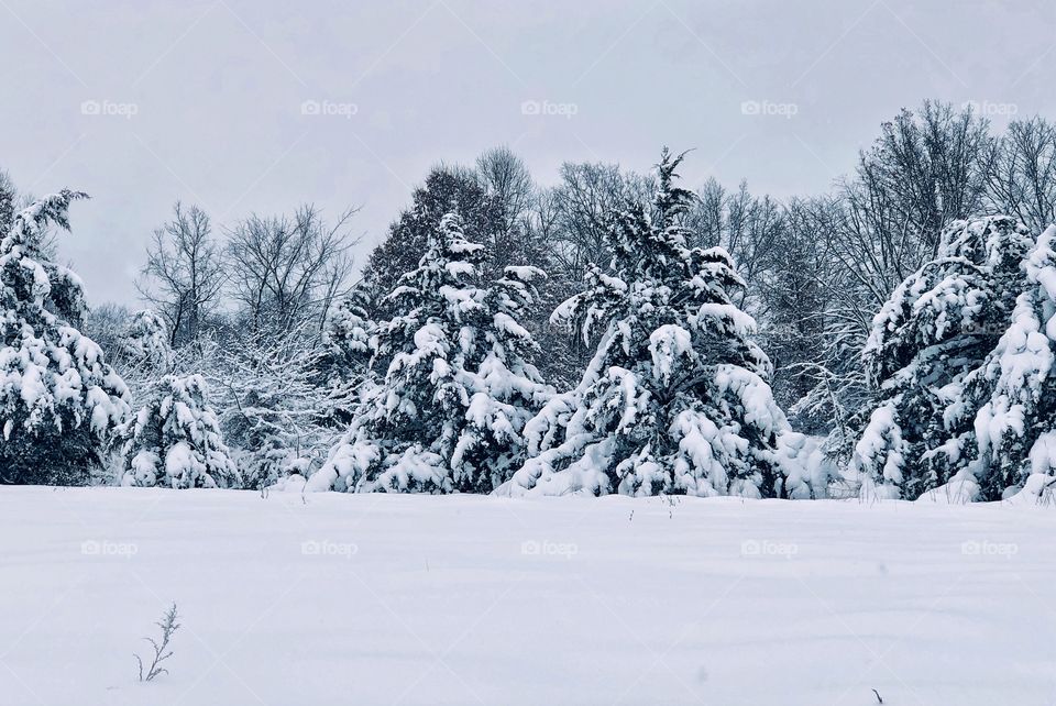 Winter snow scenes