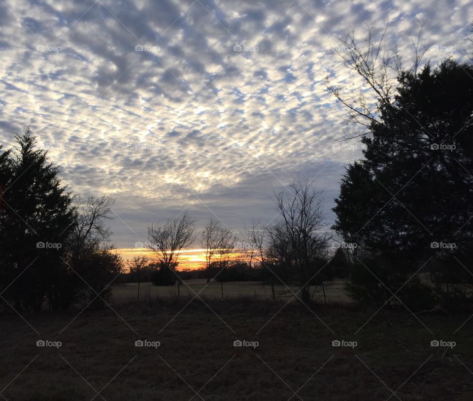 East Texas sunset