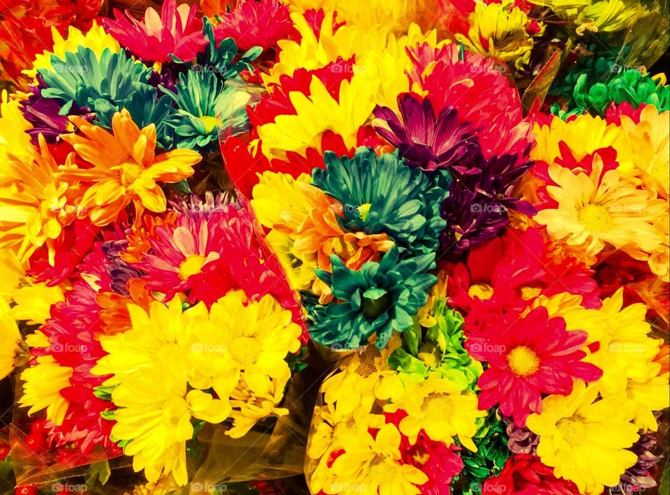 Multicolored flowers 