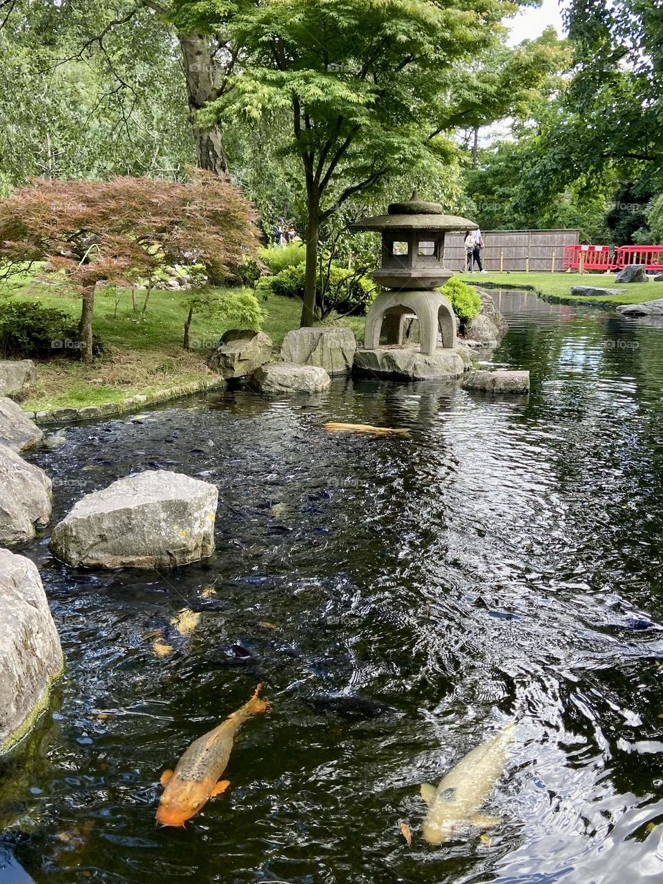 Even the water can be  an amazing view…