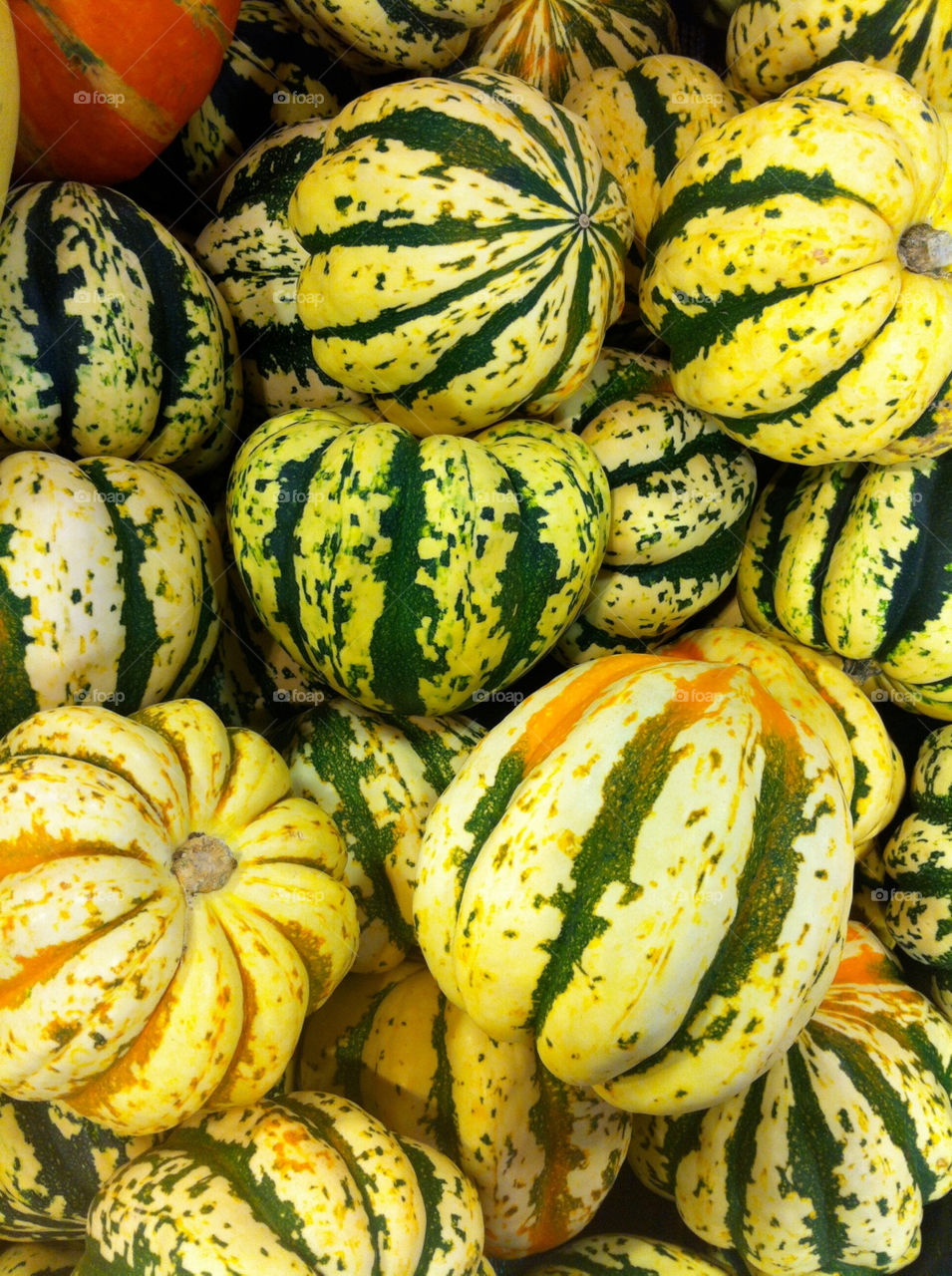 Squash and pumpkins during the autumn season.