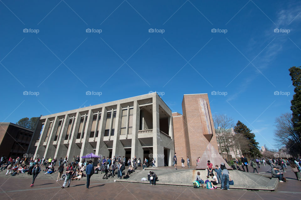 Washington university 