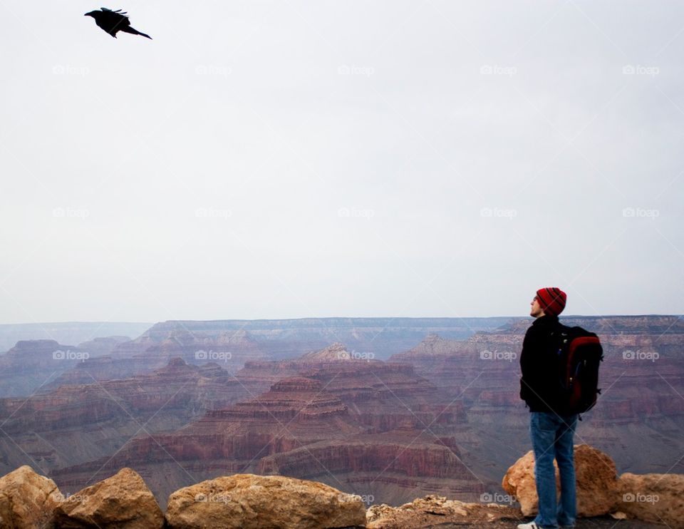 Man looking at bird