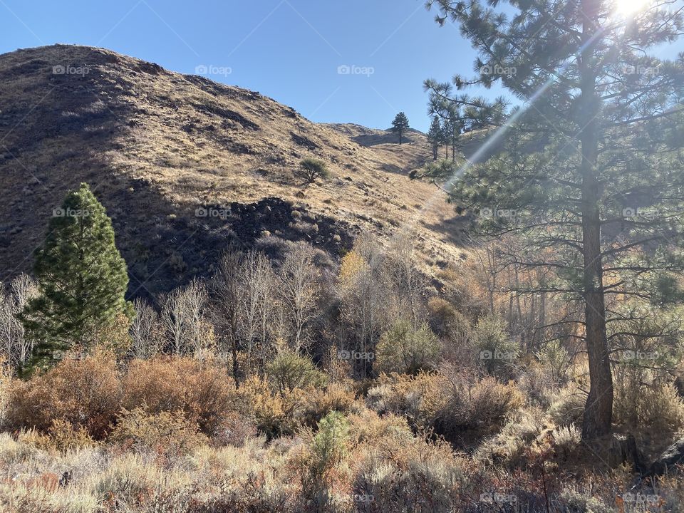 Hiking in the high desert mountains. 