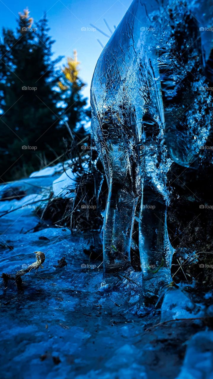 winter came to freeze the waters