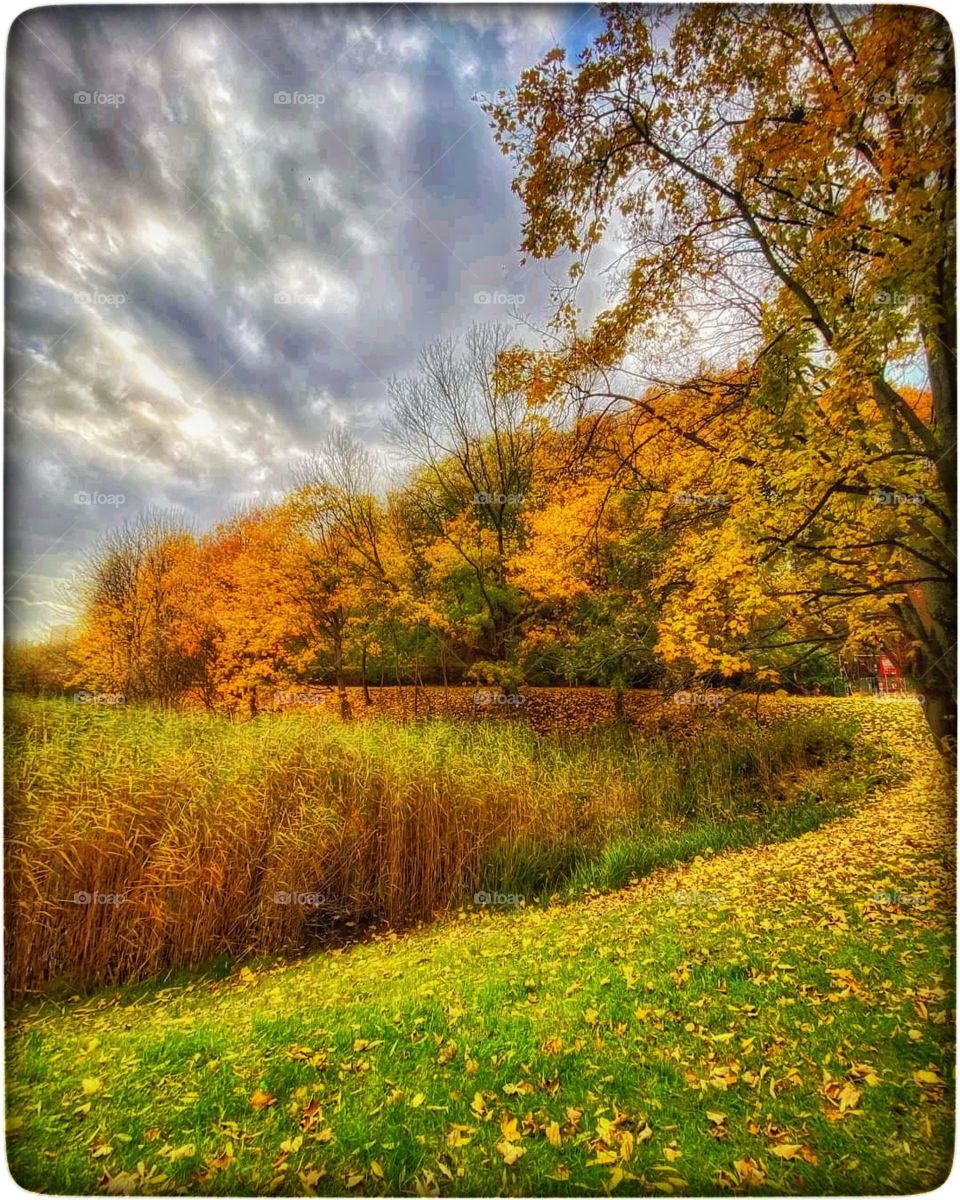 Polish golden autumn
