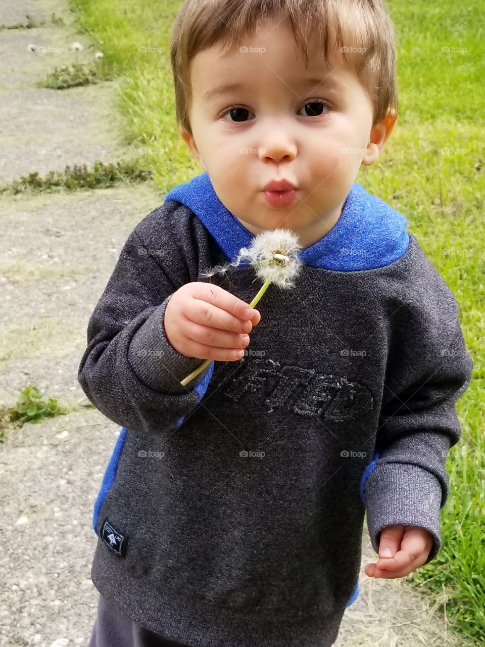 toddler blowing a dandelion