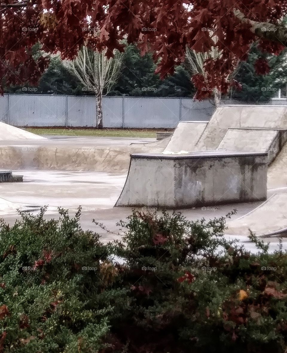 desolate skate park