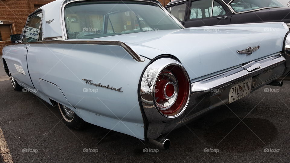 Thunderbird