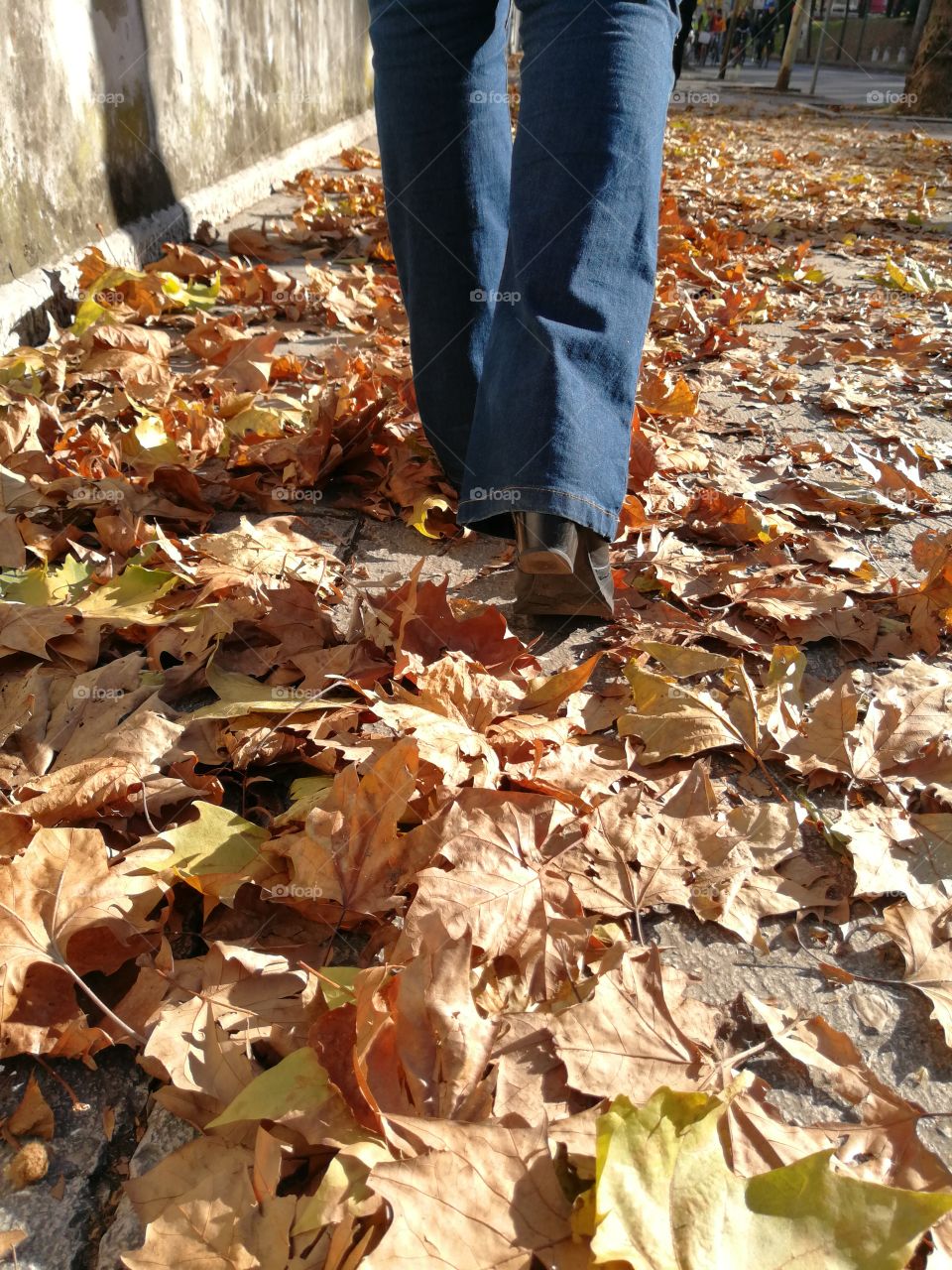 Walking on fallen leaves