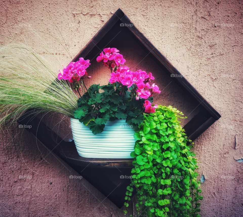 Flowers and grass decorations on the wall