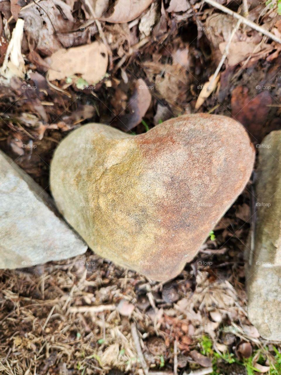 heart shaped rock