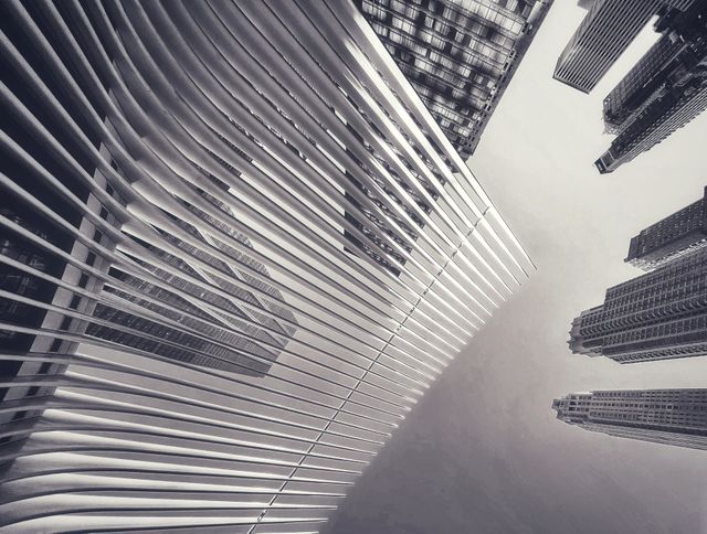 Under the Oculus
