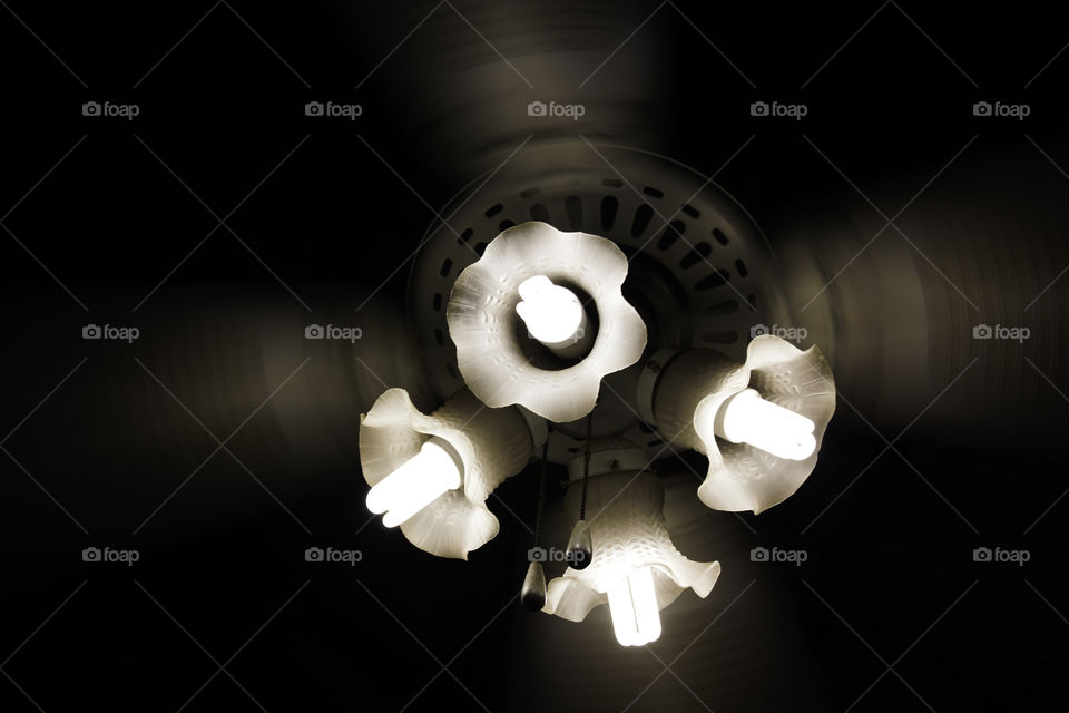 Floral Lights Ceiling Fan In Motion