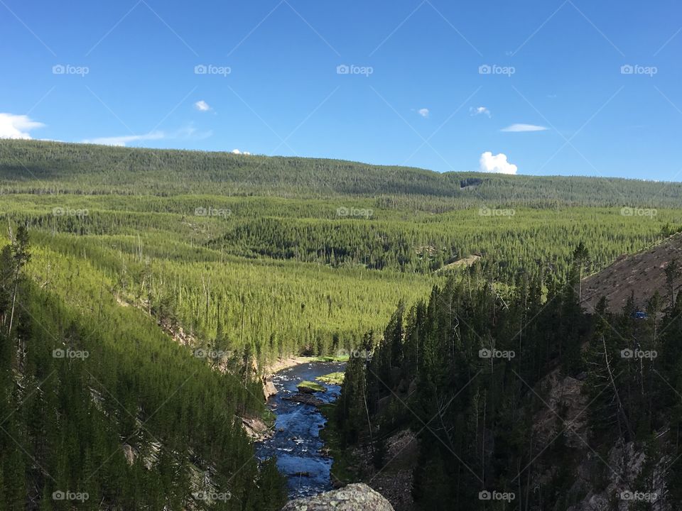 A rural scenery from the Yellowstone National Park. This reminds of the art work we did as kids.. the sky, the clouds, the trees and mountains and a blue river flowing through.