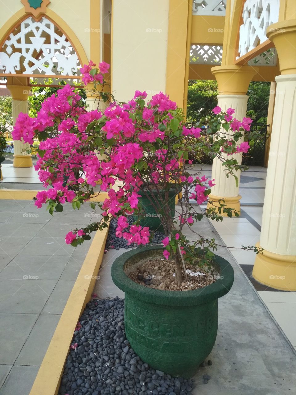 Flower at the mosque