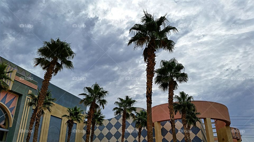 Palm trees & cloudy skies. Palm trees & desert architecture  under cloudy skies