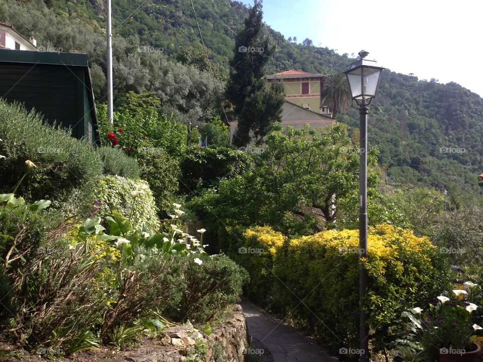 San Rocco di Camogli Liguria