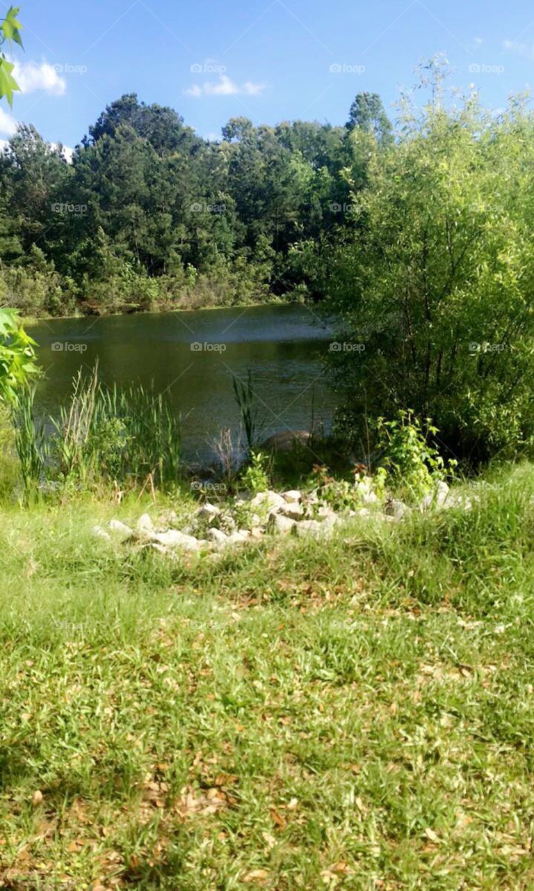 The grass is sometimes greener on the other side . Like this giant pond filled with a loving geese couple 