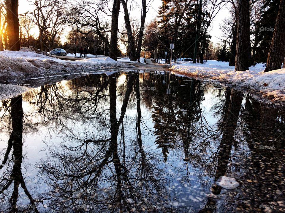 Puddle reflection