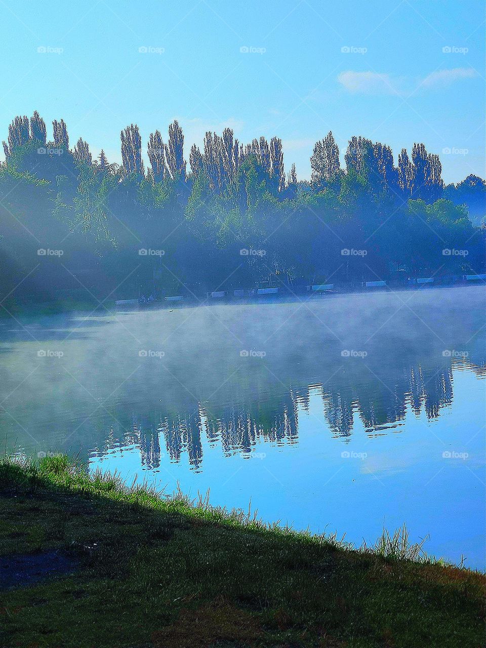 Part of the pond in the morning. Fog hangs over the clear water, through which you can see the reflection of green trees on the shore.