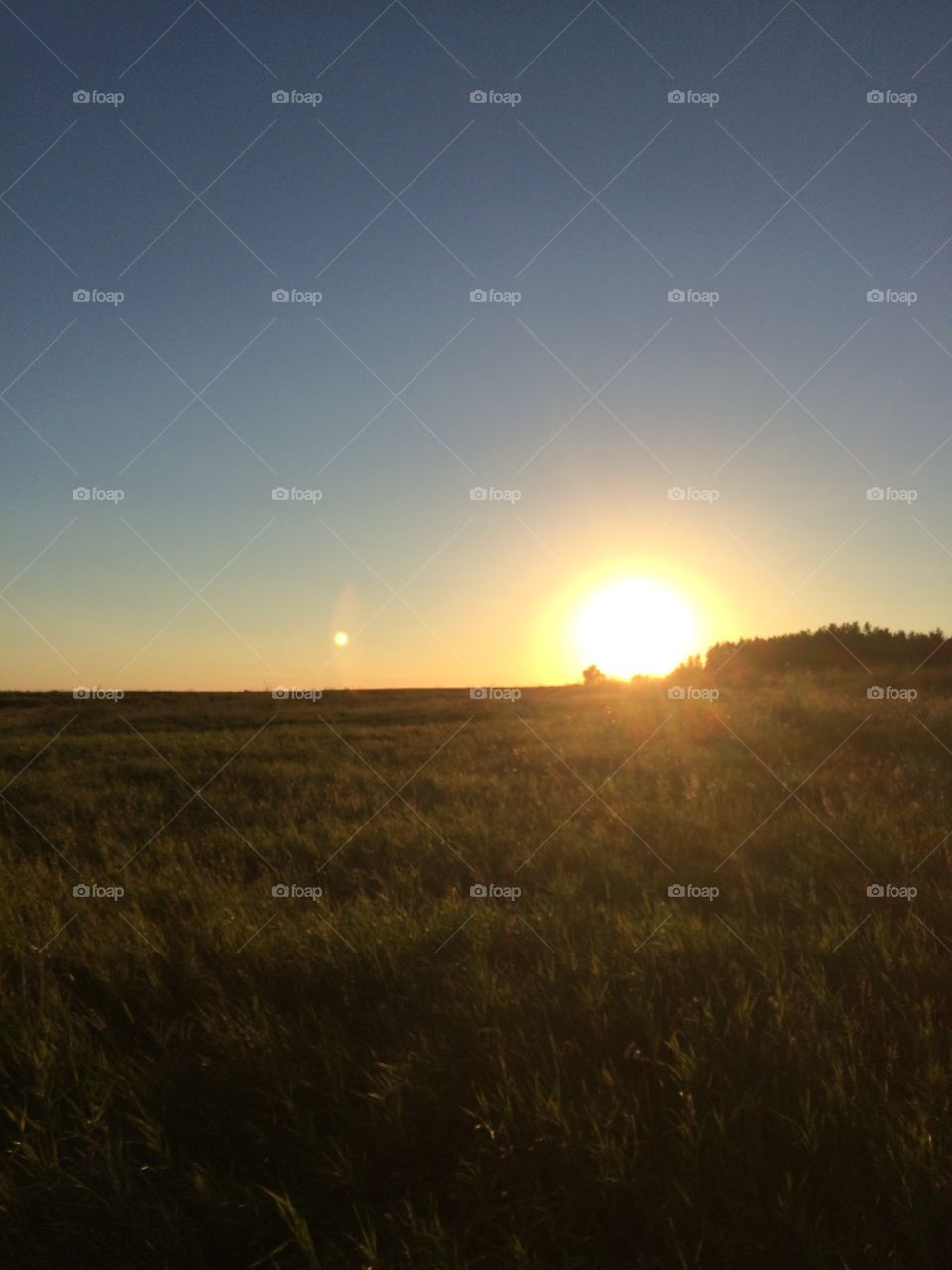 Farm sunset