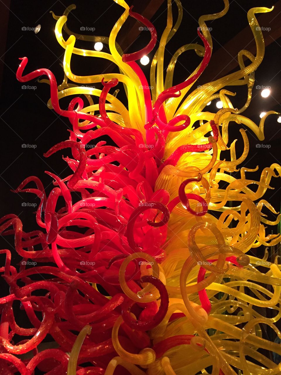 Art glass exhibition Chihuly Florida Saint Petersburg USA