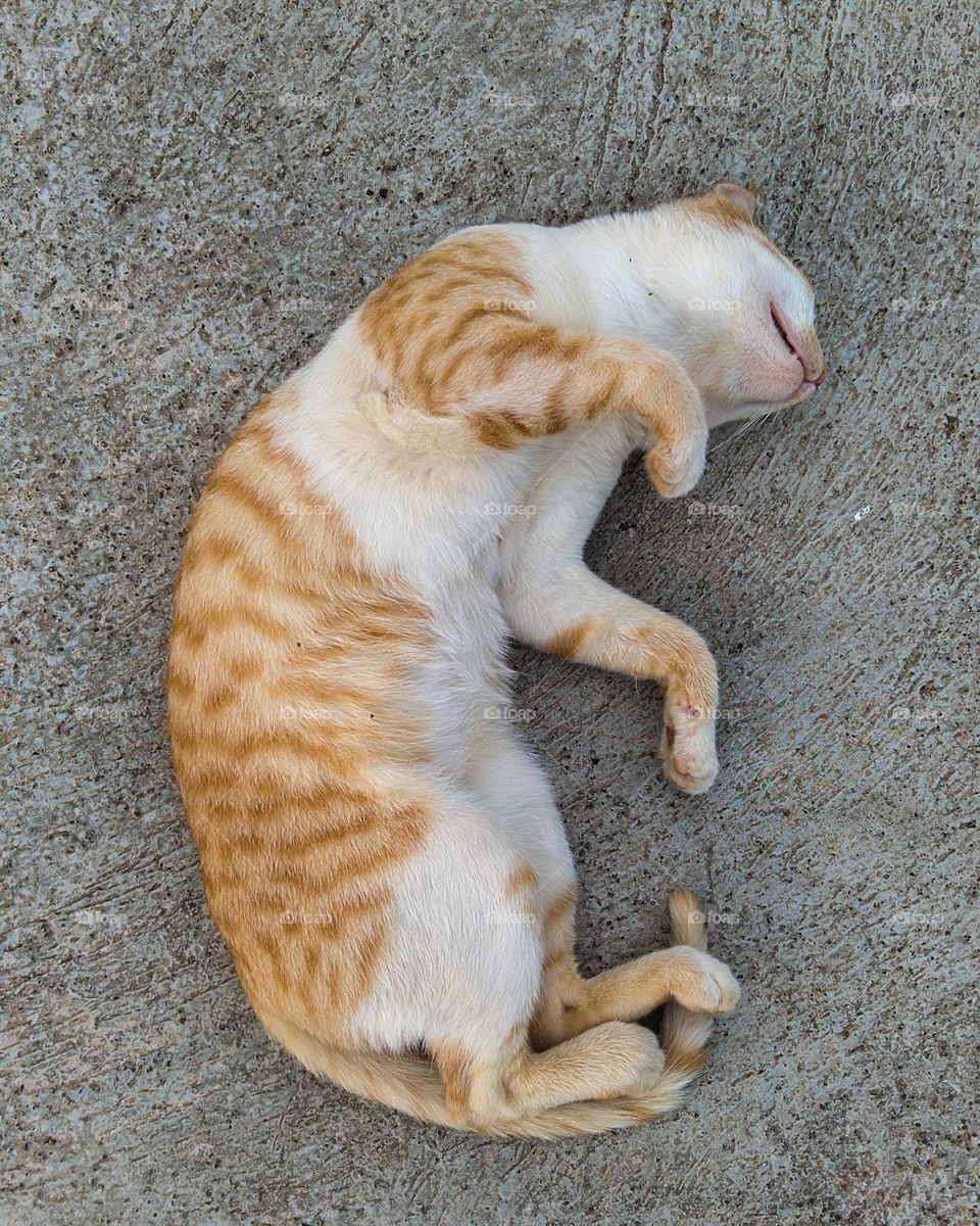 Sleeping with zero worries