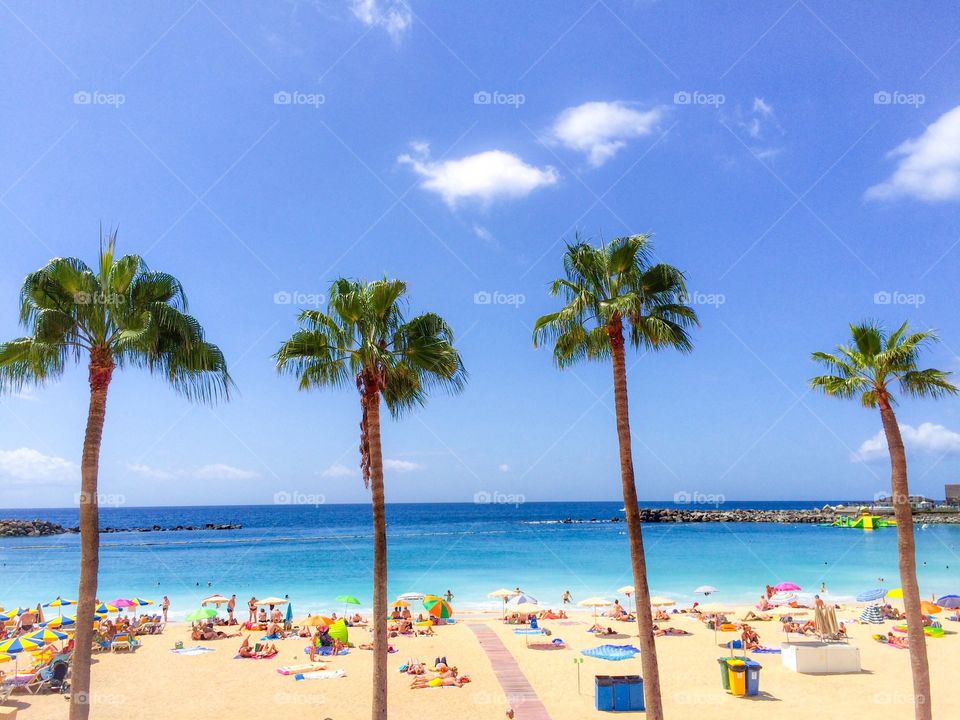 People enjoying on beach