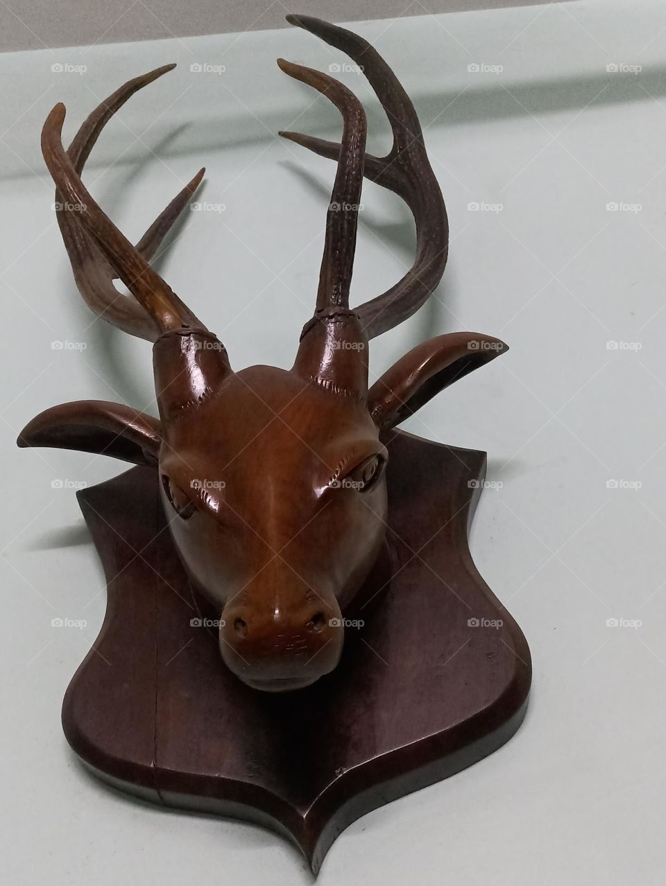 old things are always good to  repute present things disfavour .