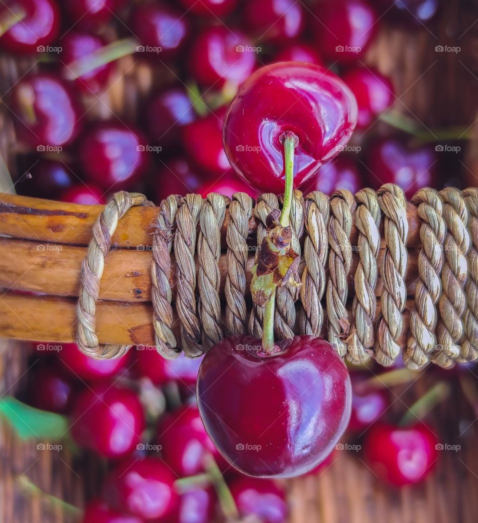 Sweet cherries in magenta color