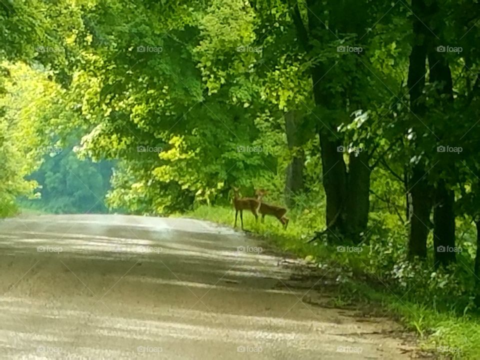 Driving the Back Roads and enjoying everything around us