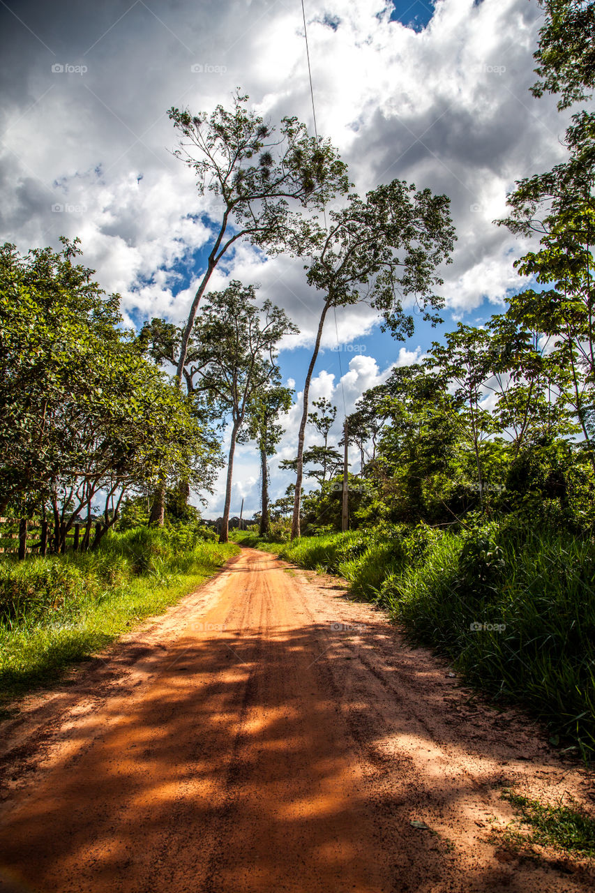 Traveling Amazonia 