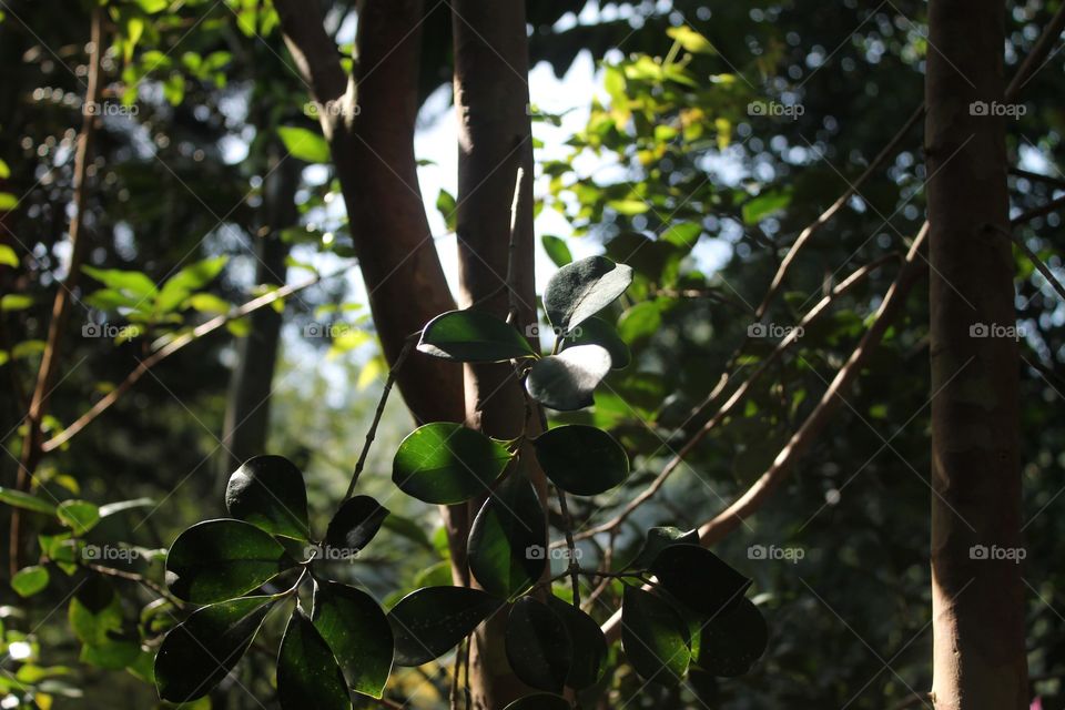 Editors' Choise: Photo of the Week