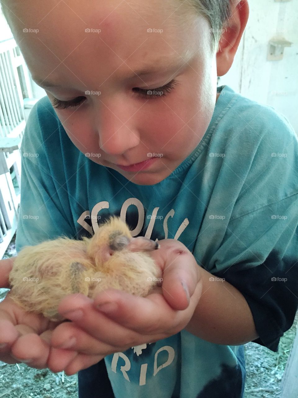 Babies. This is my grandson enjoying a visit to his great-grandfather's pigeon loft. 