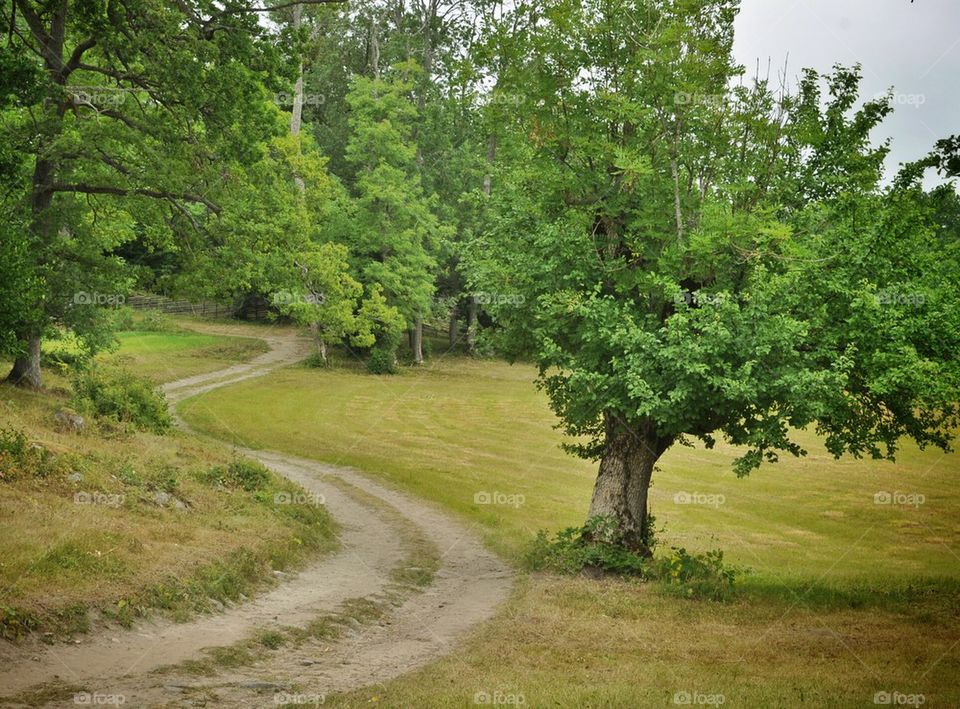 Ängsö national park