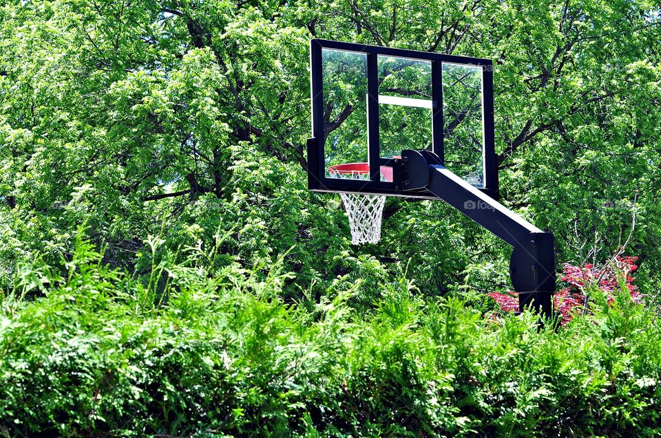 A basketball net in the green
